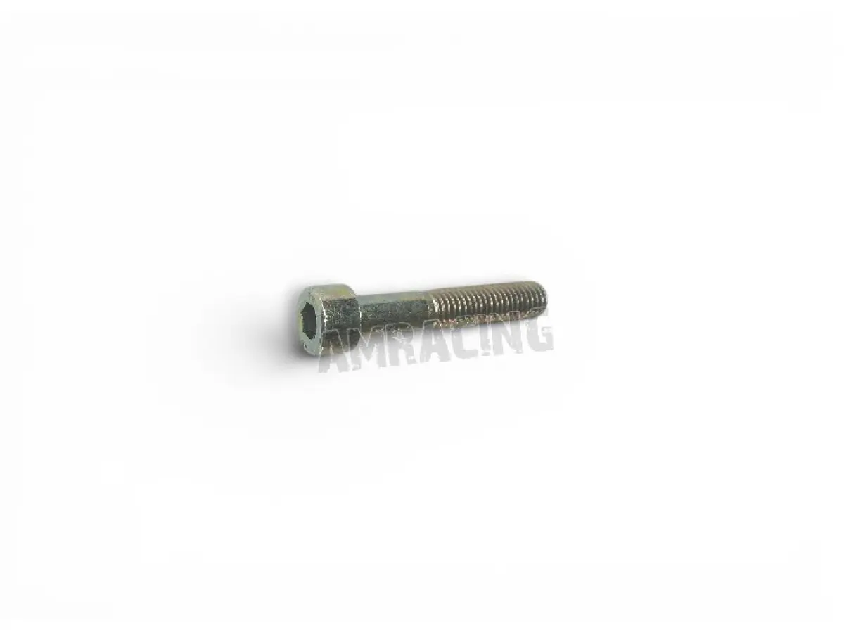 SCREW TCEI 8x45 